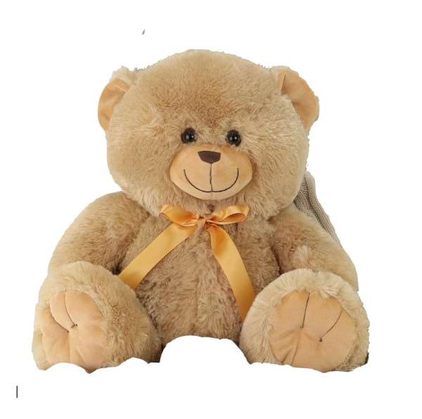 Medium Teddy Bear 