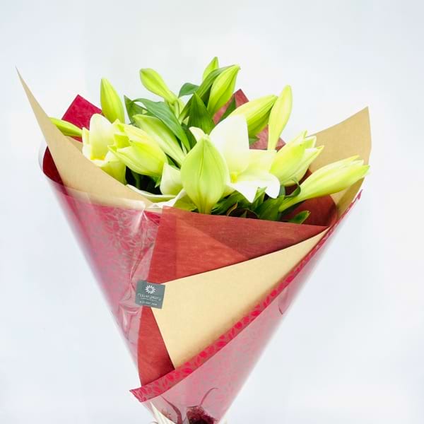 Traditional Christmas Lilies 