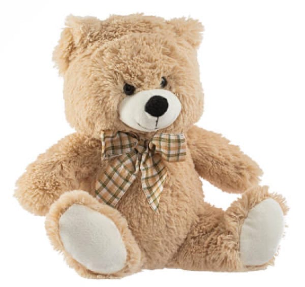 Small Teddy Bear 